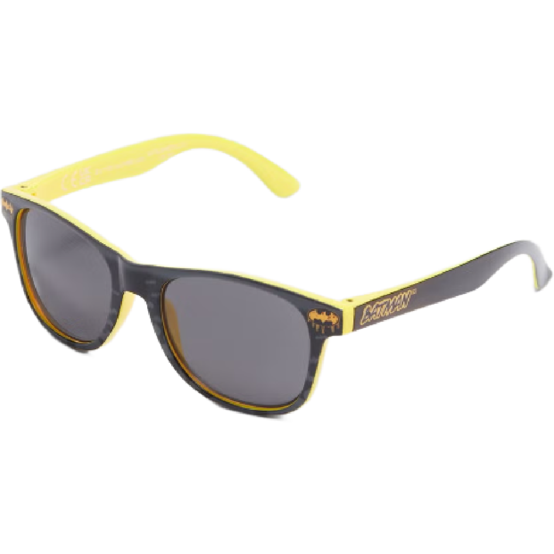 Batman | Sunglasses | Little Gecko