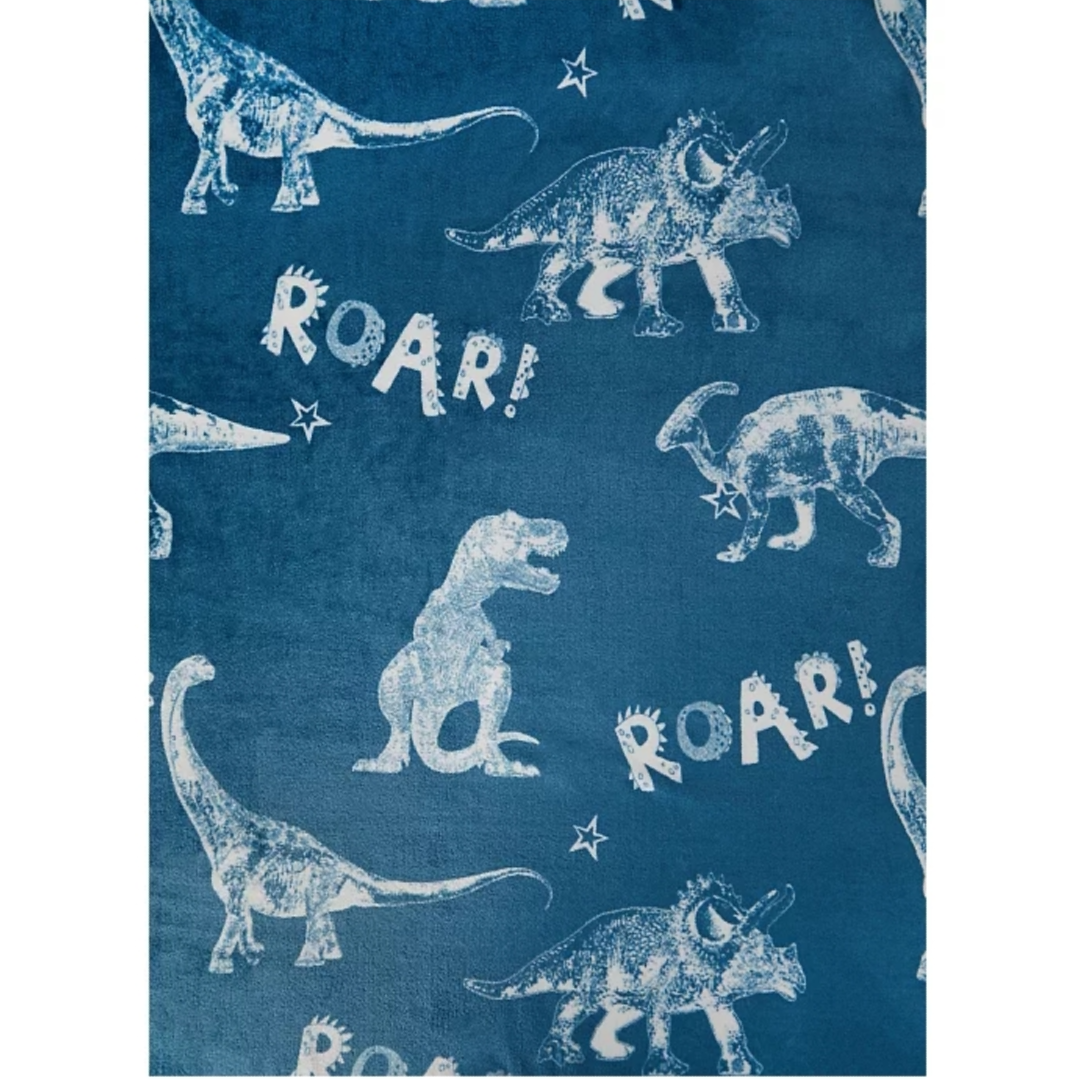 Blue Dinosaur | Coral Fleece Blanket | Little Gecko