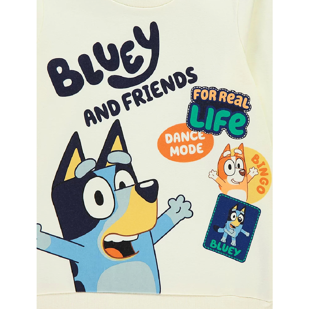 Bluey | Friends Sweatshirt | Little Gecko