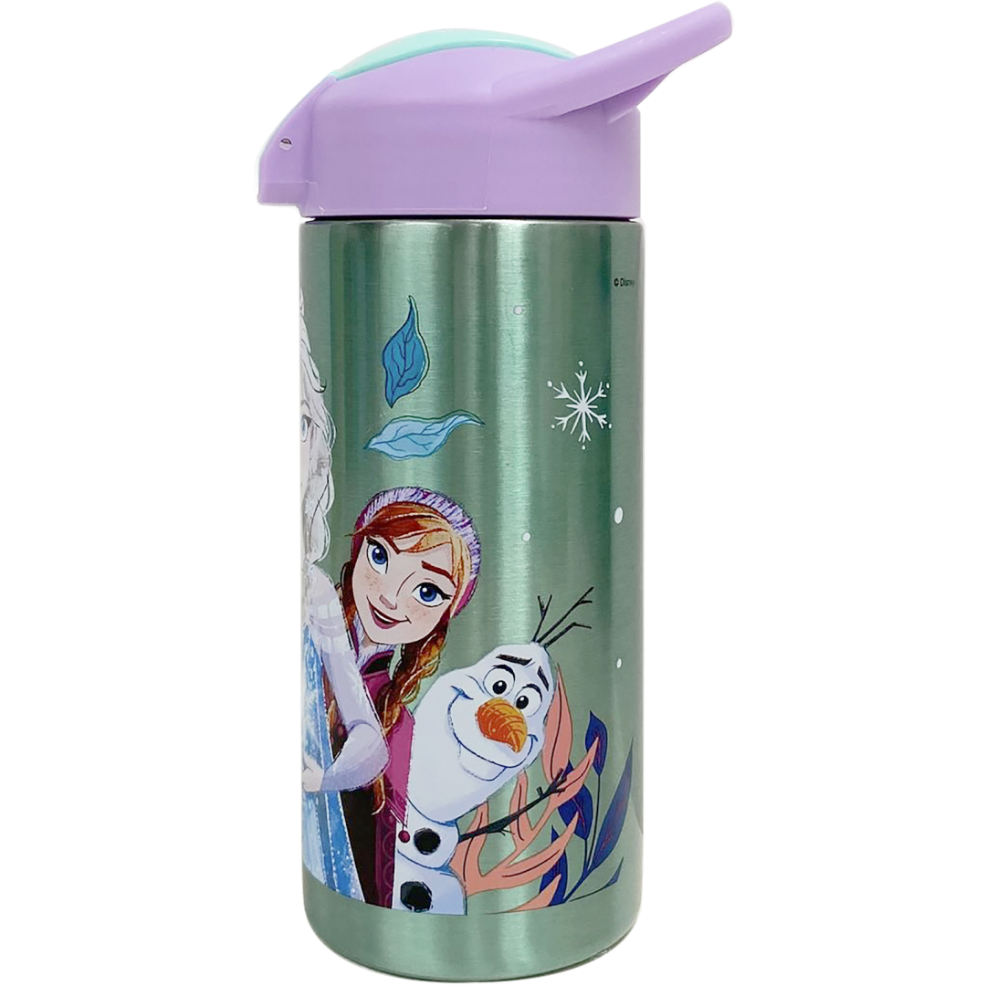 Frozen | Stainless Steel Drink Bottle | Little Gecko