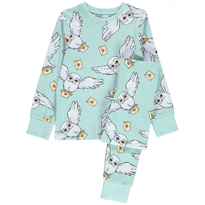 Harry Potter | Hedwig Pyjamas & Snuggle Hoodie Set | Little Gecko
