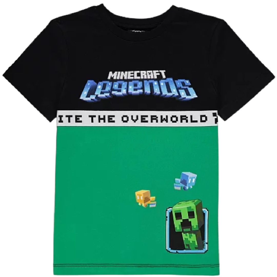 Minecraft | Green Colour Block T-Shirt | Little Gecko