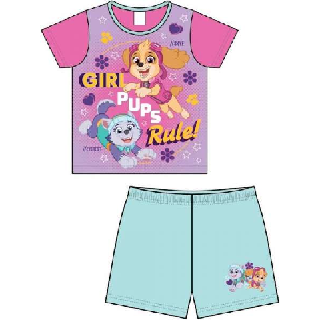 Paw Patrol Girls' Skye and Everest Underwear