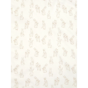 Peter Rabbit | Fleece Blanket | Little Gecko