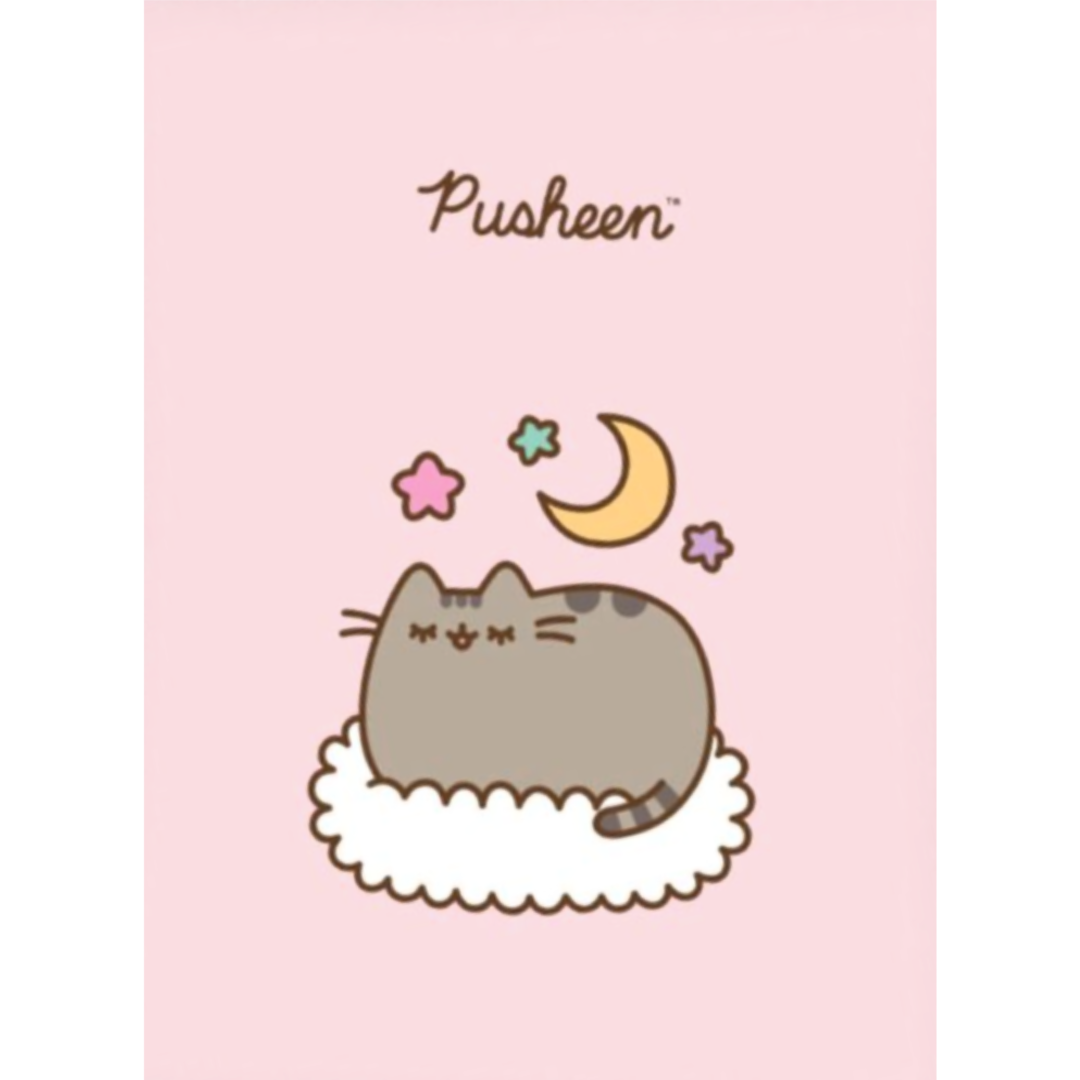 Pusheen | Blanket - Pink | Little Gecko