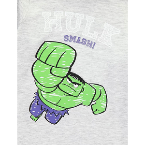 The Avengers | Grey Hulk Long Sleeve T-Shirt | Little Gecko