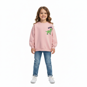 TOY STORY Pink Rex Sweatshirt
