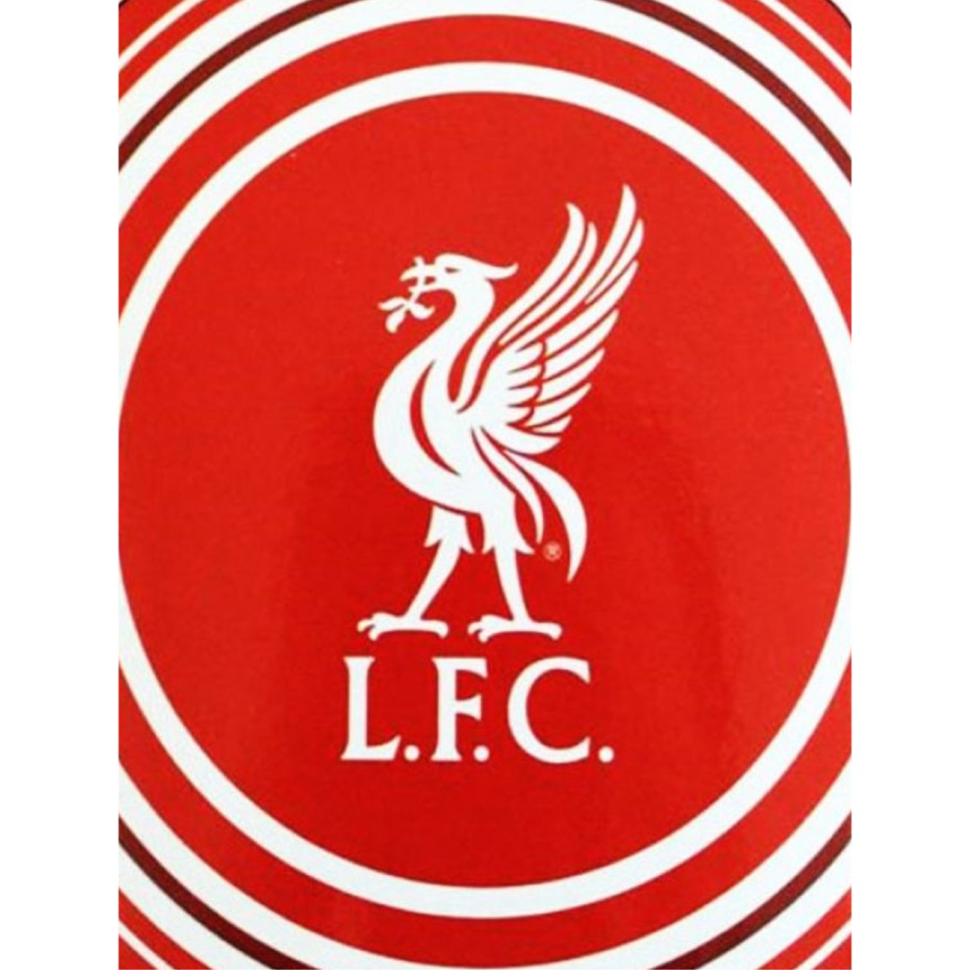 Premier League | Liverpool FC Fleece Blanket | Little Gecko