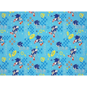 Sonic the Hedgehog | Geo Coral Fleece Blanket | Little Gecko